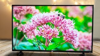 TCL 43 Inch 4K Roku TV Review [upl. by Allie]