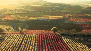 video tesi  Il Cammino di Santiago de Compostela [upl. by Eneleoj978]