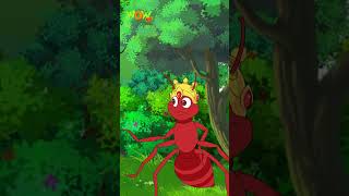 Hathi Aur chinti  06  Popular Hindi Stories for Kids  Wow Kidz  CM [upl. by Roselba]