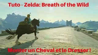 Tuto Zelda Breath of the Wild  Monter un Cheval et le Stocker aux Relais [upl. by Ativ]