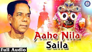 Ahe Nila Saila  ଆହେ ନୀଳ ଶୈଳ ଭଜନ ସମ୍ରାଟ ଶ୍ରୀ ଭିକାରି ବଳଙ୍କ କଣ୍ଠରେ ଭକ୍ତ ସାଲବେଗ ଚଳଚିତ୍ରର ଭକ୍ତିଭରା ଭଜନ [upl. by Corydon461]