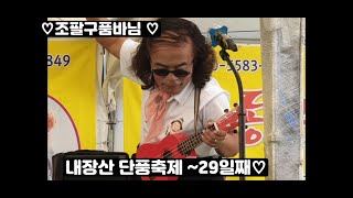 1116토 게스트 하따니품바님 내장산 단풍축제 29일째어느덧 한달이♡ ♡ [upl. by Aidroc]