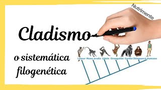 Cladismo o Sistemática Filogenética Sinapomorfías y Simplesiomorfías [upl. by Ffej]