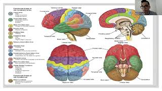 Antipsychotic Medications  Pharmacology  Nervous System  LevelUpRN [upl. by Airbma105]