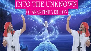 Into The Unknown Quarantine Cover Version  Vivaldi Cristian [upl. by Scheider]