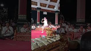 Balinese Dance amp Gamelan By The Professor  Gamelan Bali tarianbali shorts balinesegamelan [upl. by Anirtal]