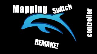 Mapping switch pro controller to dolphin remake [upl. by Resaec601]