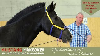 Michael Geitner  Zwischen blau und gelb gesundes Pferdetraining🐴  MUSTANG MAKEOVER Experten [upl. by Esikram]