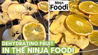 Dehydrating Fruit in the Ninja Foodi [upl. by Elak]