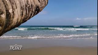 Views at LAnse Martin Beach Blanchisseuse Trinidad amp Tobago [upl. by Ok]