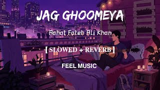 Jag Ghoomeya  Lofi Slowed and Reverb  Rahat Fateh Ali Khan  FEEL MUSIC [upl. by Frodi]