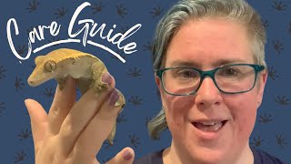 Beginner’s Guide to Crested Gecko Care [upl. by Larok]