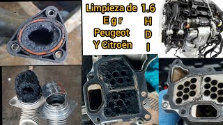 limpieza egr de Peugeot y citroen motor 9hp 16 hdi [upl. by Crompton253]