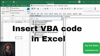 MS Excel  Filtering Data [upl. by Llertnor]