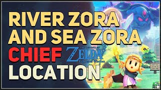 River Zora Chief and Sea Zora Chief Location Legend of Zelda Echoes of Wisdom [upl. by Lleuqram]