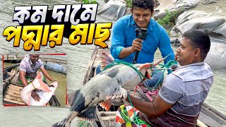 দৌলতদিয়া ফেরিঘাটে কমদামে ইলিশসহ বড় মাছ কেনার কৌশল। Daulatdia Ferry Ghat Unique Fish Selling System [upl. by Llenehc]