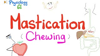 Mastication chewing   Mastication Reflex  Gastrointestinal Physiology [upl. by Ivel908]