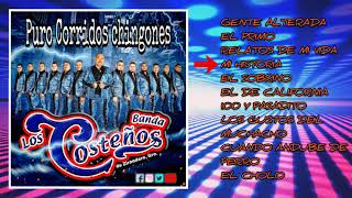 BANDA LOS COSTEÑOSESTRENO 2021PURO CORRIDO CHINGONES [upl. by Fulmer223]