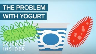 Yogurt Is More Unhealthy Than You Think [upl. by Idnek]