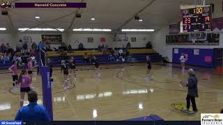 HerreidSelby Area Wolverines vs Faulkton Area VB [upl. by Daeriam]