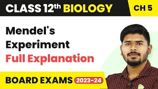 Mendels Experiment Full Explanation  Principles of Inheritance and Variation  Class 12 Biology [upl. by Nujra]