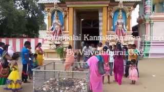 Mullaitivu Vattappalai Kannaki Amman Temple Srilanka [upl. by Aizat]