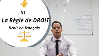 La règle de droit  Introduction aux Sciences Juridiques partie 2 [upl. by Julius]