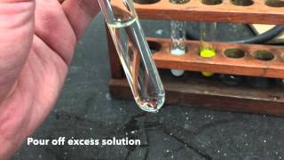 Anion Test  Sulfate Ions [upl. by Assir41]