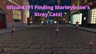 Wizard101 Marleybone  Finding the Stray Cats locations [upl. by Oinigih]