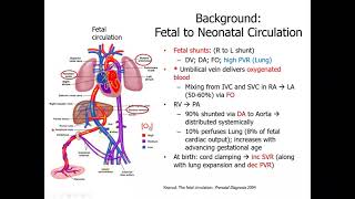 How Do A Newborns Lungs Work [upl. by Ardnuas]