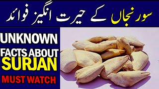 Unknown Facts About Suranjan  Suranjan Benefits  UrduHindi  DUH  Dar ul Hikmat Urdu [upl. by Leanna]