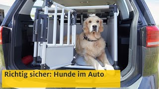 Hunde im Auto transportieren So gehts richtig  ADAC [upl. by Mathews852]