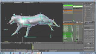 Wolf run and trot cycles Blender 3D [upl. by Ardnola]