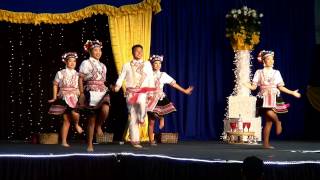 Sacramento Hmong New Year Dance comp 20142015 Tseem Tub Ntxhais Hmoob [upl. by Eelame603]