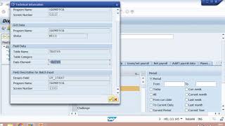 How to see technical information of any field on SAP screen [upl. by Watters704]