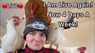 🔴 Joseph Is Live With His Flock Comfort And Corn 🔴 [upl. by Norac]