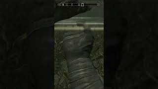 How to Walk Underwater in Skyrim [upl. by Rosita]