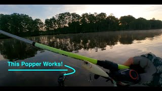 Chickahominy River Bass Fishing June 2024 [upl. by Nail]