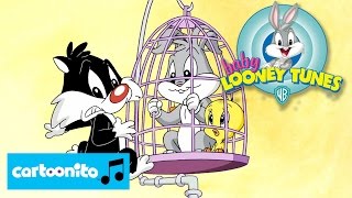 Baby Looney Tunes  SONG Down by the Cage  Cartoonito [upl. by Esenwahs]