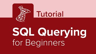 SQL Querying for Beginners Tutorial [upl. by Wearing935]