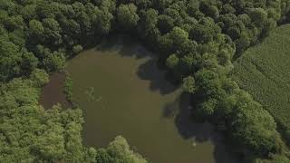 Aerial Foxstone Dam and Surrounding Area [upl. by Estren]