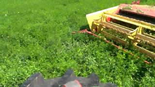 Cutting Alfalfa For Hay Part 2 of 8 [upl. by Mahseh912]