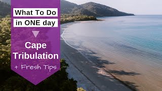 Daintree Rainforest and Cape Tribulation  BEST BITS [upl. by Flowers621]