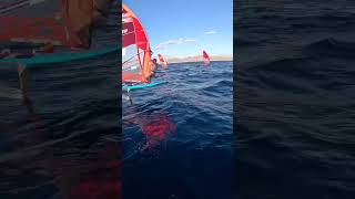 IQFoiling with da boys l IQFoilDaily iqfoildaily iqfoil windsurf surfing windsurfing [upl. by Obidiah924]