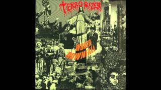 Terrorizer  Fear of Napalm Official Audio [upl. by Eeliab]