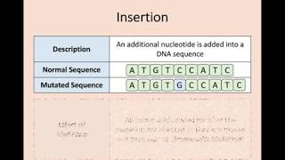 Higher Biology  16 Mutations [upl. by Pik]