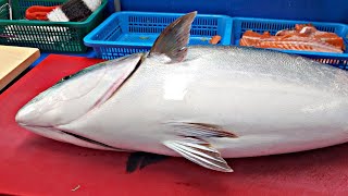 일방 기름가득 돼지방어 회뜨기 Japanese amberjack [upl. by Voccola989]