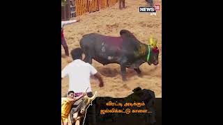 Palamedu Jallikattu 2023  களத்தை அதிரவிட்ட காளைகள்  வீரத்தை காட்டிய காளையர்கள்  Tamil News [upl. by Ecyoj]