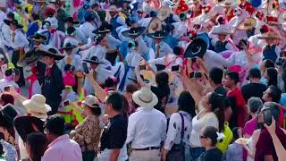 Pelea de Gallos Monumental en Aguascalientes el 20 de abril de 2024 [upl. by Averell]