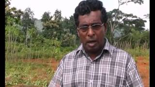 Thilak Kandegama Ecological Farming [upl. by Yrok]